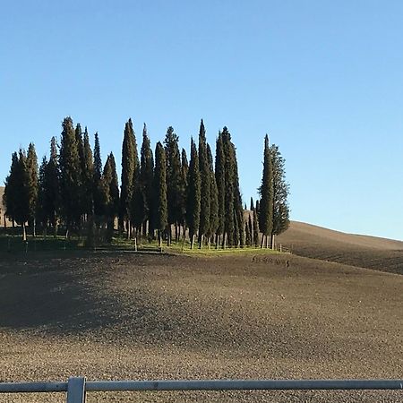Il Giuggiolo Apartment Montalcino Exterior foto