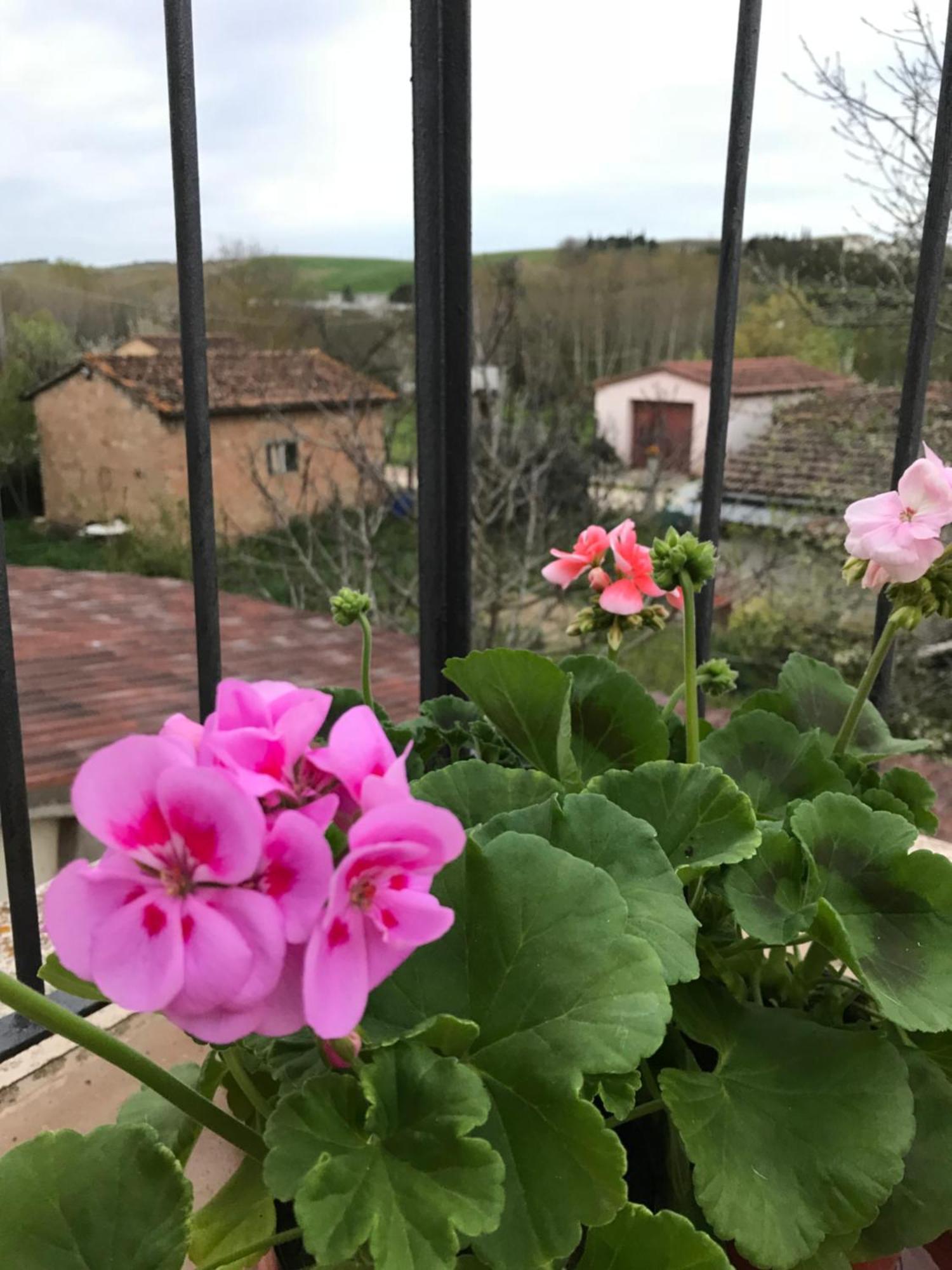 Il Giuggiolo Apartment Montalcino Exterior foto