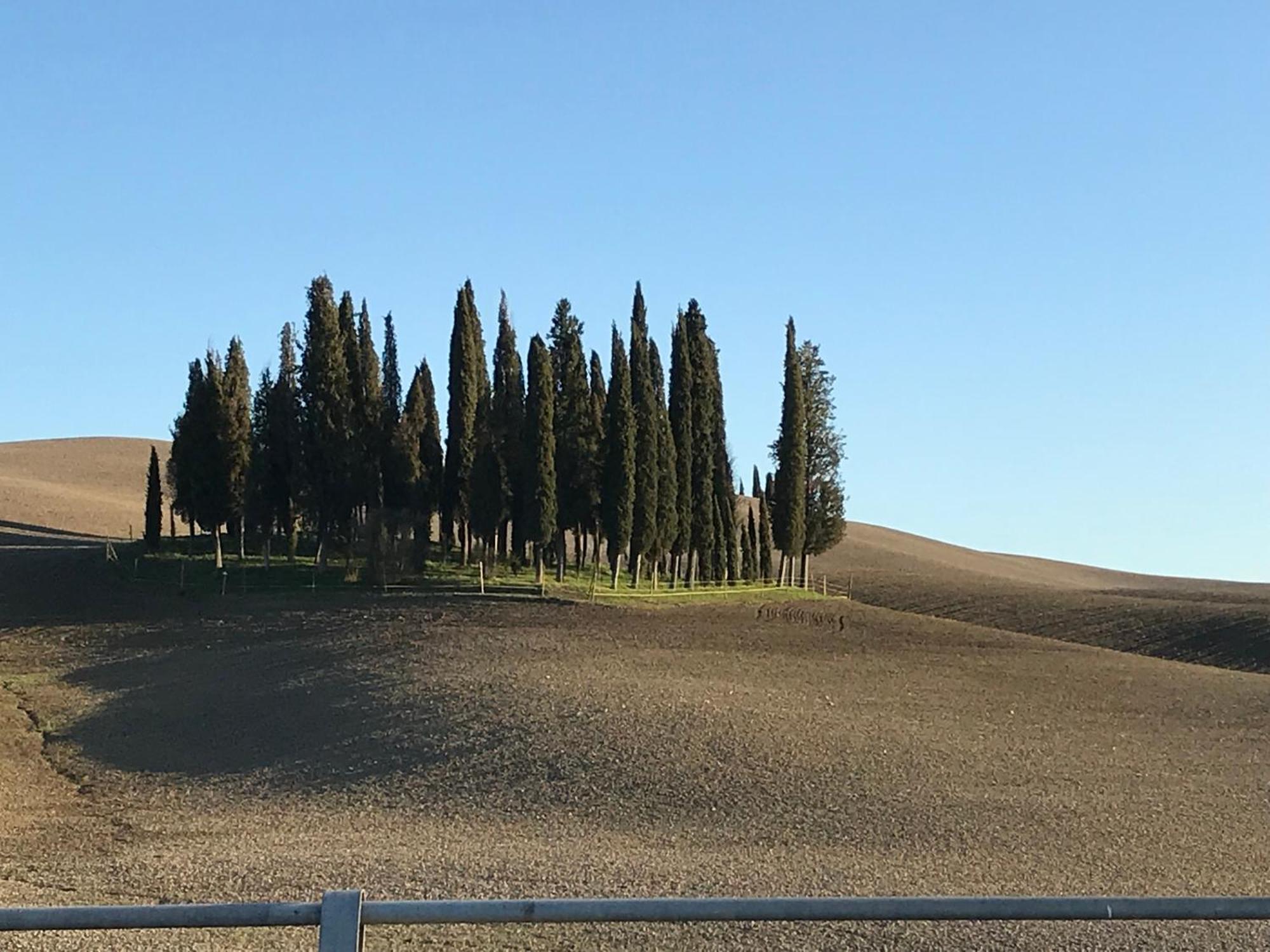 Il Giuggiolo Apartment Montalcino Exterior foto